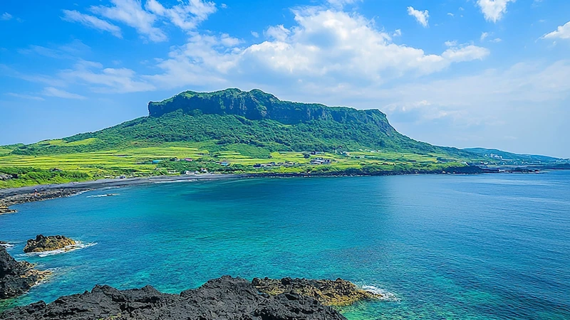 Paperclip Press - Korea