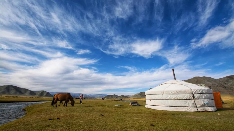Paperclip Press - Mongolia